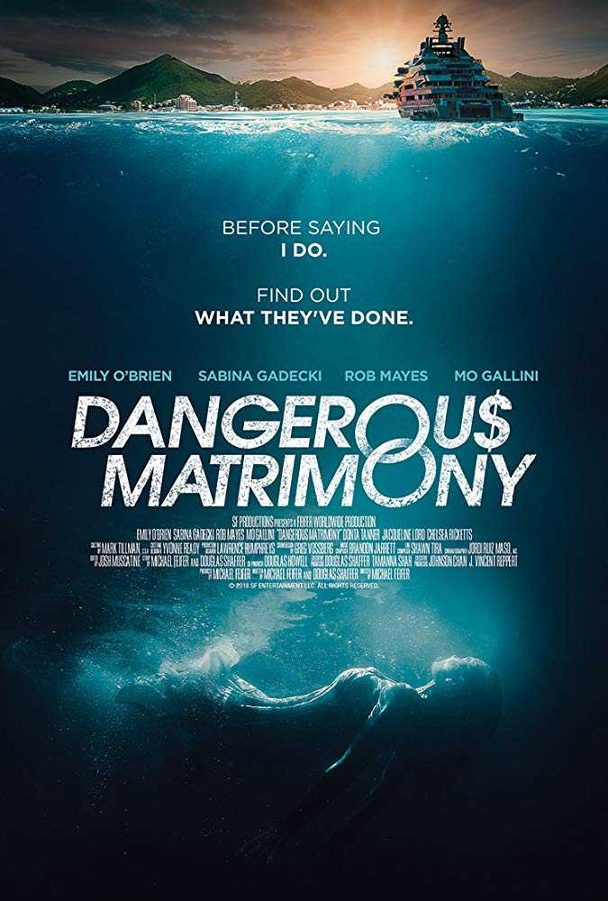 مشاهدة فيلم Dangerous Matrimony 2018 مترجم