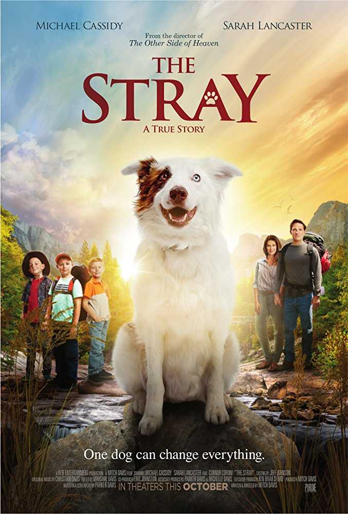 مشاهدة فيلم The Stray 2017 مترجم