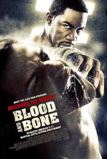 مشاهدة فيلم Blood and Bone 2009 مترجم