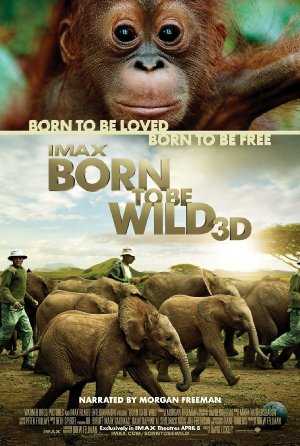 مشاهدة فيلم Born to Be Wild 2011 مترجم