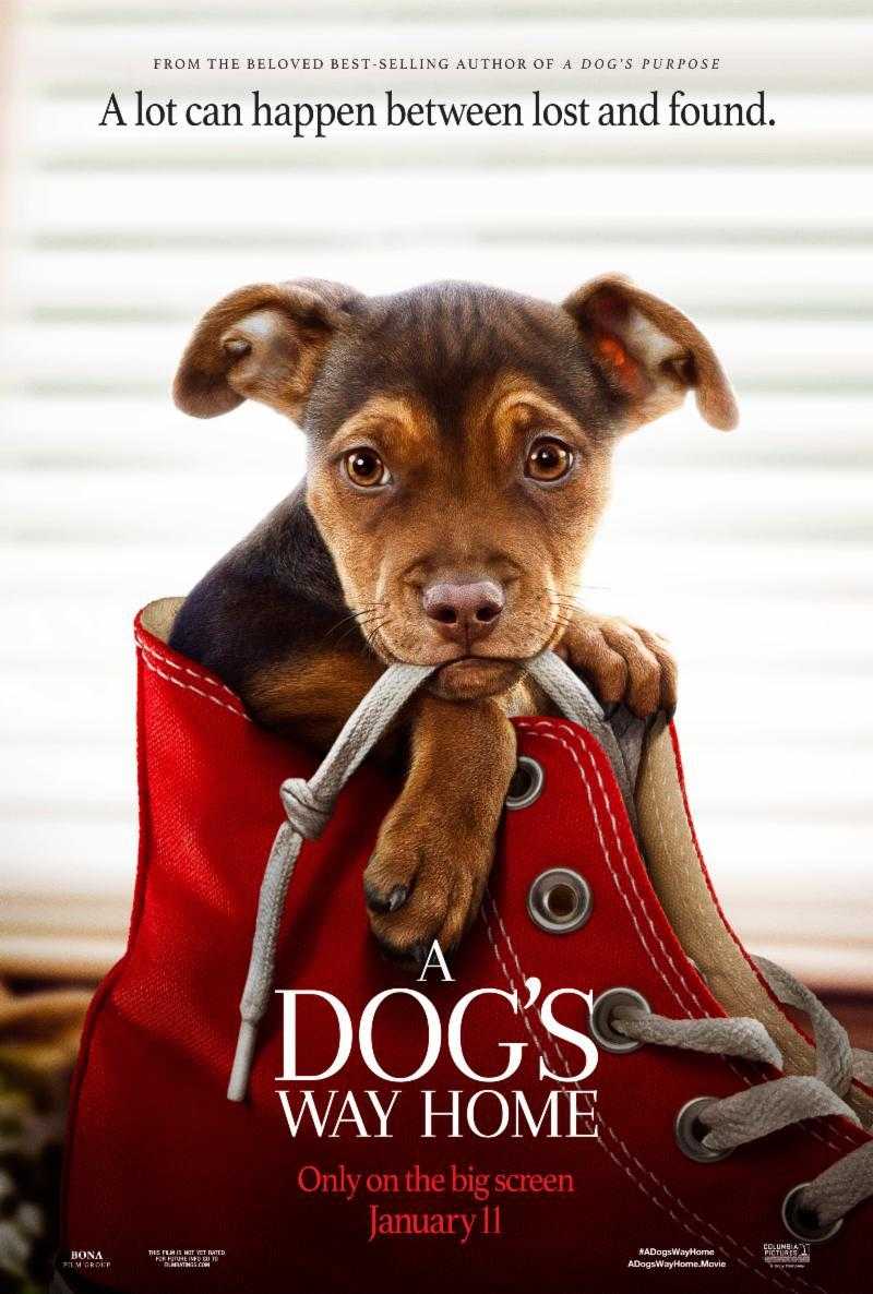 مشاهدة فيلم A Dog’s Way Home 2019 مترجم