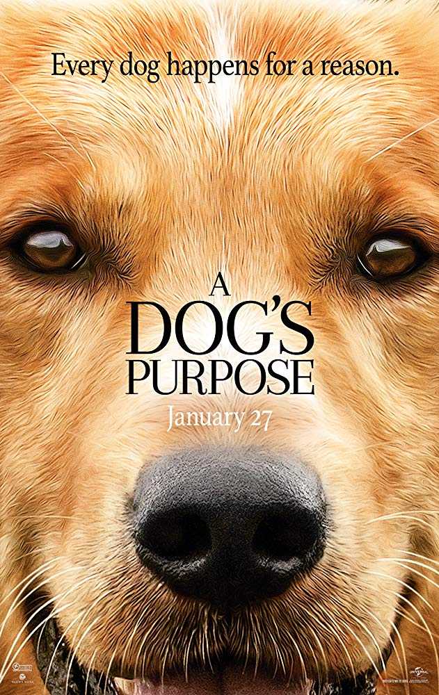 مشاهدة فيلم A Dog’s Purpose 2017 مترجم