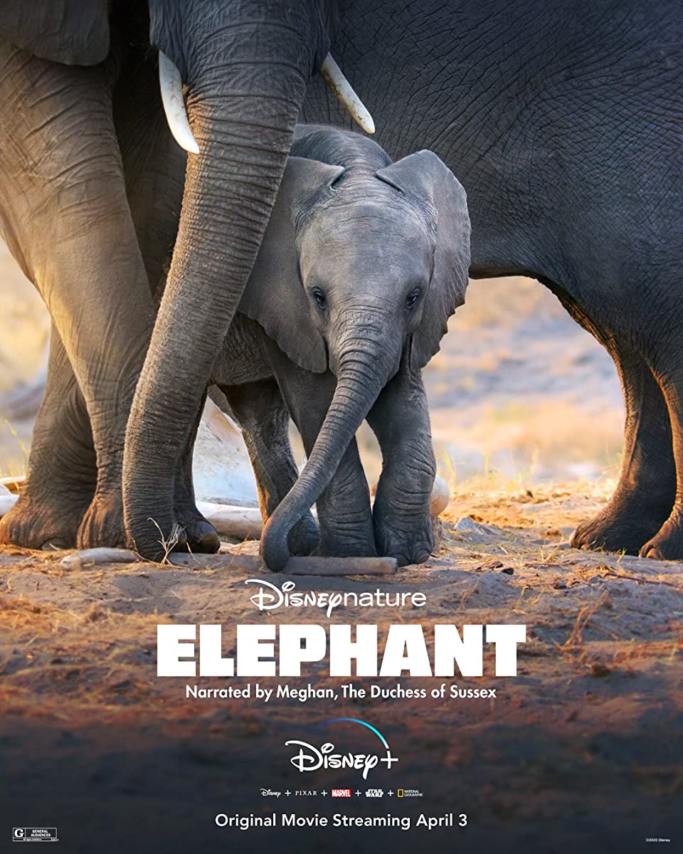 مشاهدة فيلم Elephant 2020 مترجم