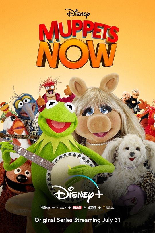 مشاهدة مسلسل Muppets Now موسم 1 حلقة 6 والاخيرة