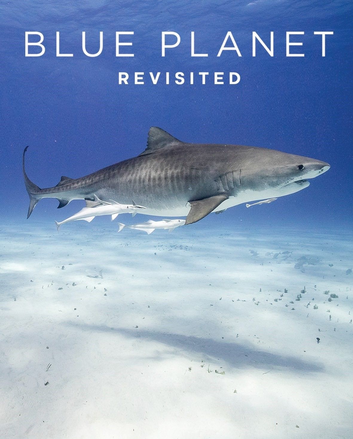 مشاهدة فيلم Blue Planet Revisited 2020 الجزء الاول مترجم