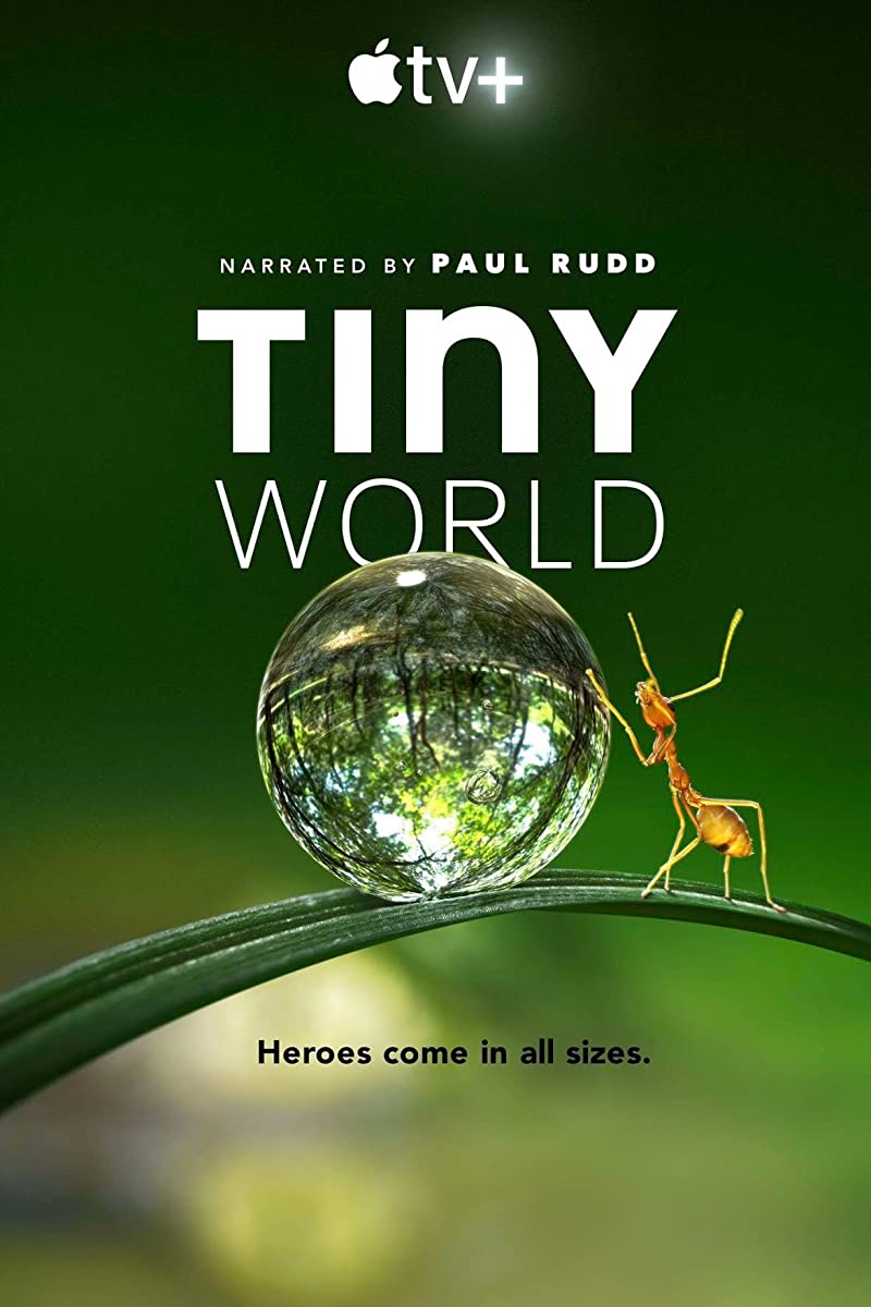 مشاهدة مسلسل Tiny World موسم 1 حلقة 6 والاخيرة