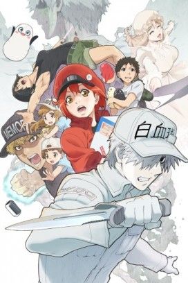 مشاهدة انمي Hataraku Saibou!! موسم 2 حلقة 1